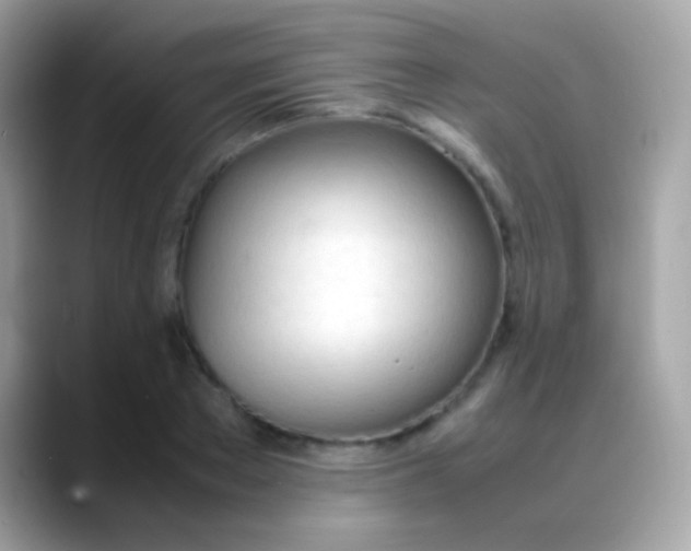 X0000088050889200706011340