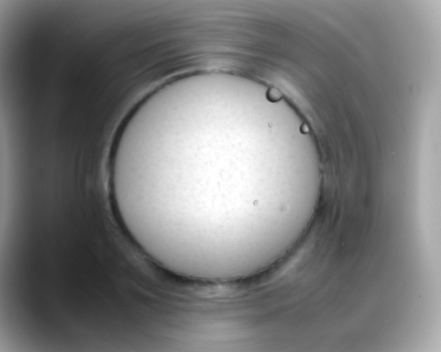 X0000088050891200706011340