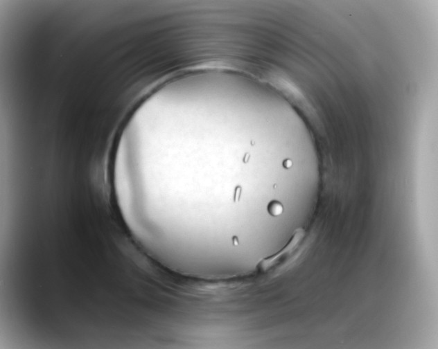 X0000088050892200706011340