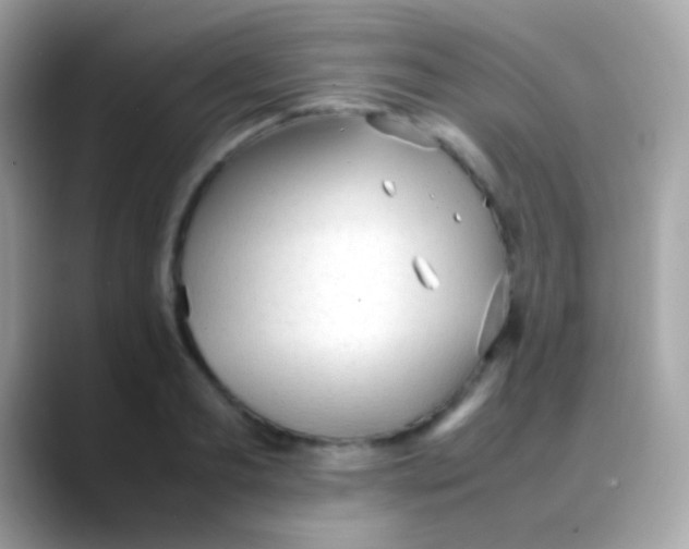 X0000088050893200706011340