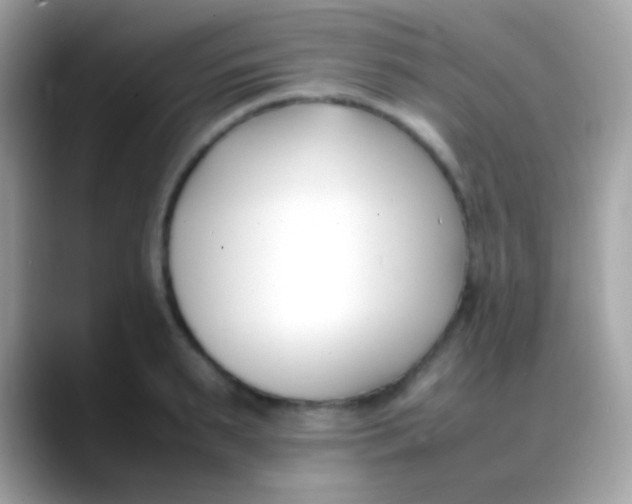X0000088050895200706011340