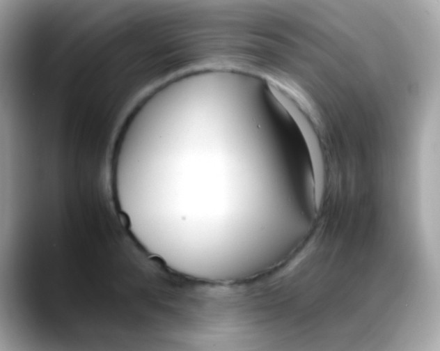 X0000088050896200706011340