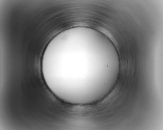 X0000088050898200706011340