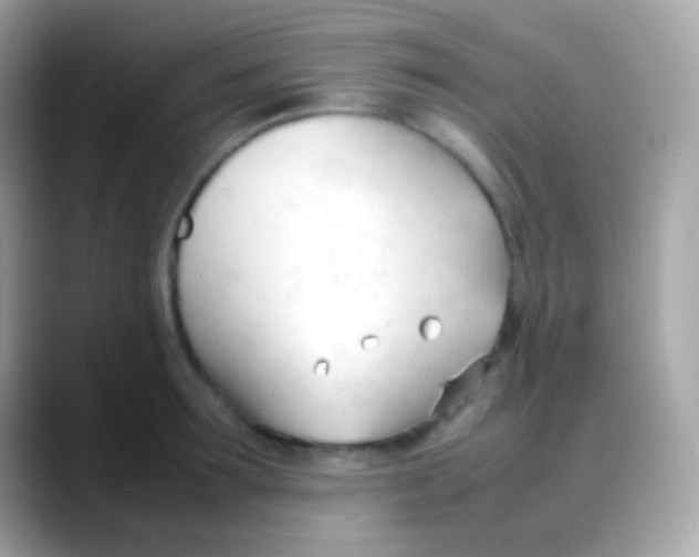 X0000088050899200706011340