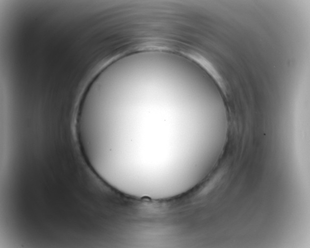 X0000088050901200706011340