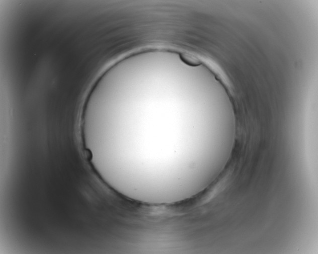 X0000088050903200706011340