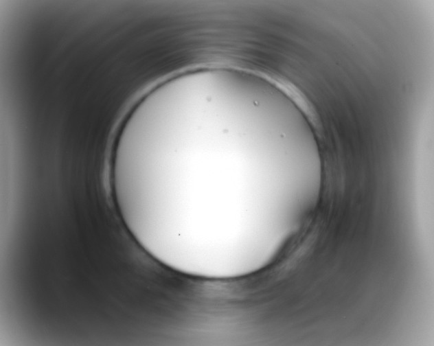 X0000088050904200706011340