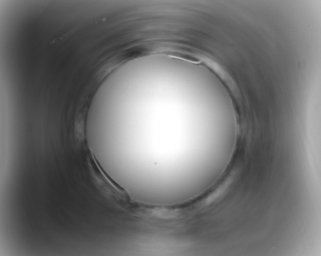 X0000088050905200706011340