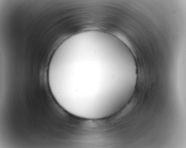 X0000088050906200706011340