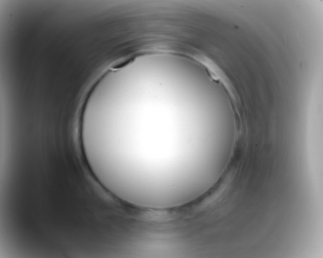 X0000088050909200706011340