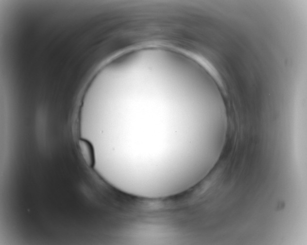 X0000088050911200706011340