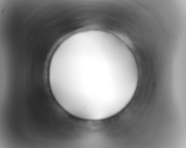 X0000088050912200706011340
