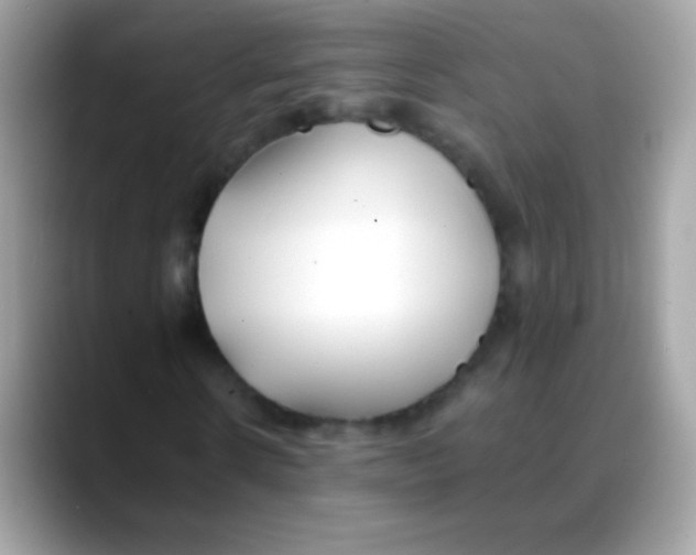 X0000088050914200706011339