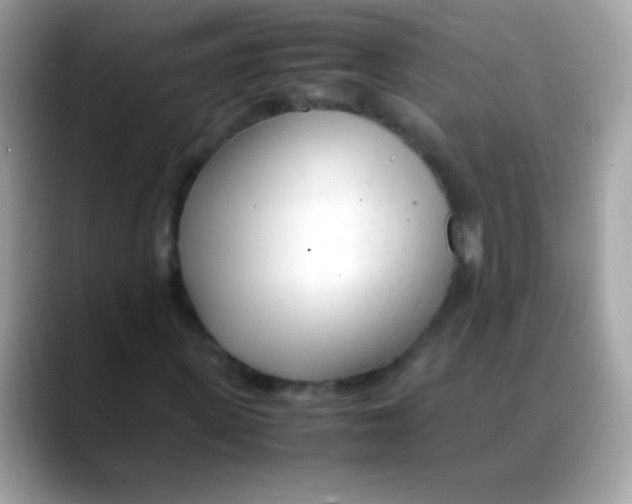 X0000088050915200706011339