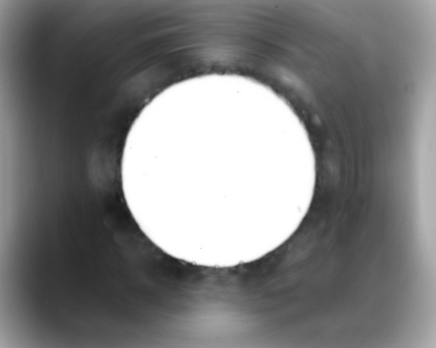 X0000088050918200706011339