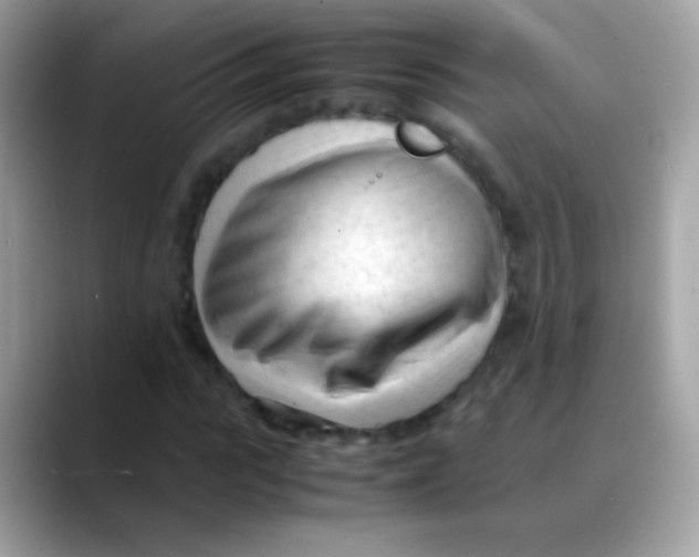 X0000088050919200706011339