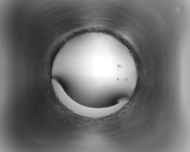 X0000088050920200706011339