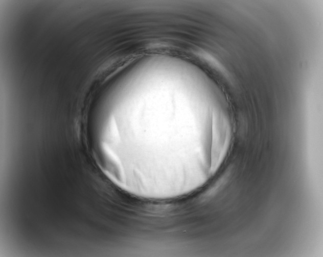 X0000088050921200706011339