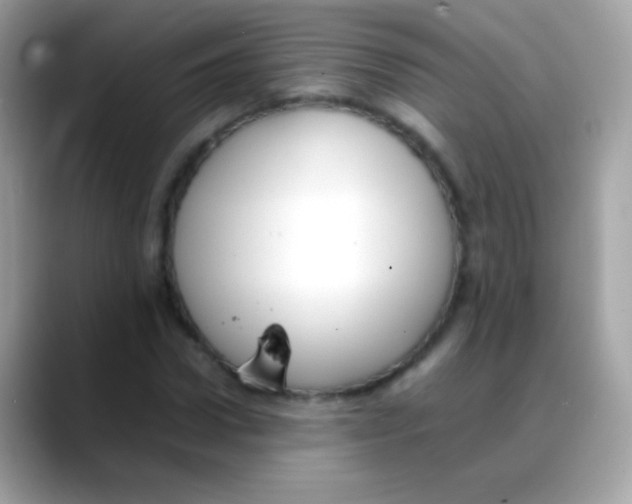 X0000088050922200706011339