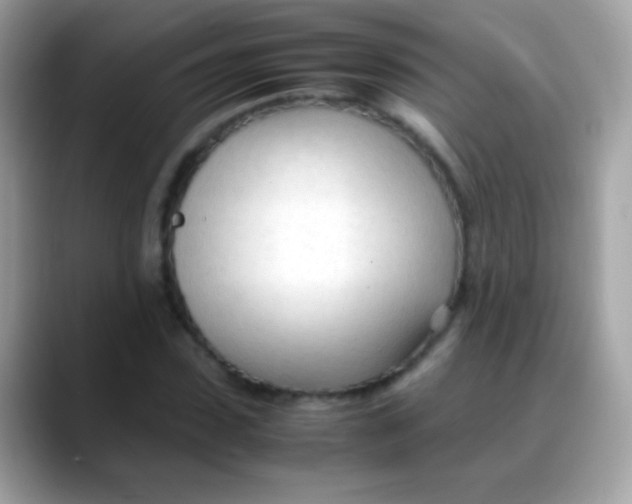 X0000088050923200706011339