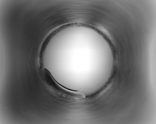 X0000088050924200706011339
