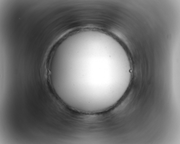 X0000088050925200706011339