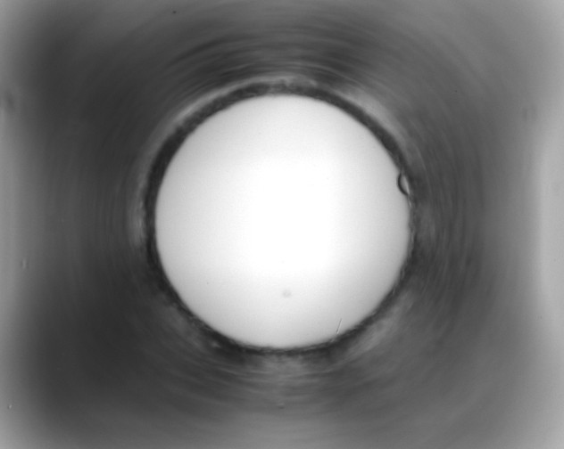 X0000088050927200706011339