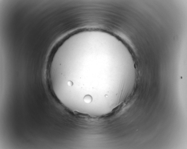 X0000088050928200706011339