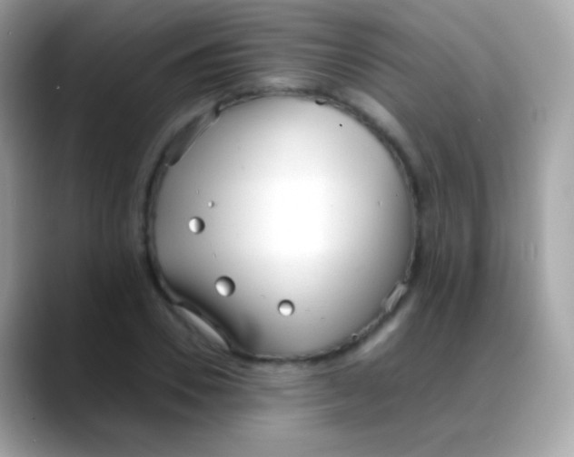 X0000088050930200706011339