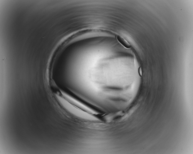 X0000088050932200706011339