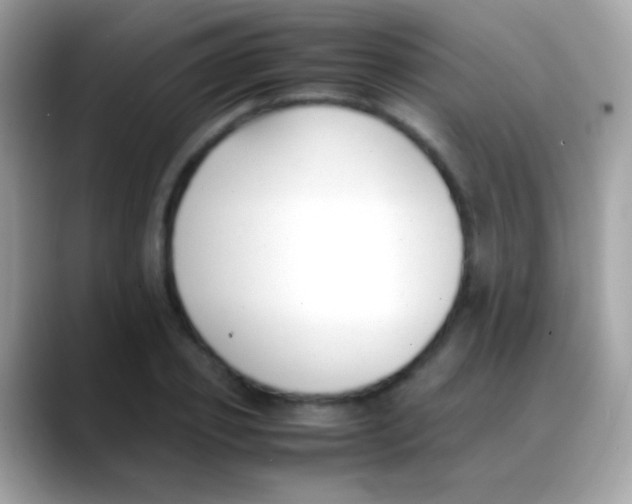 X0000088050933200706011339