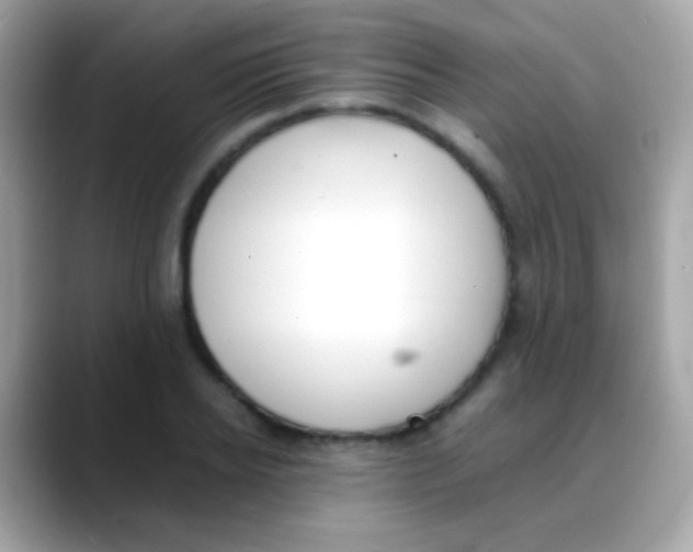 X0000088050934200706011339