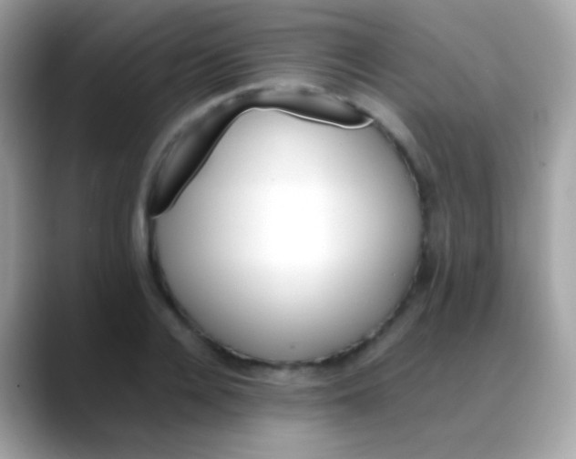 X0000088050936200706011339