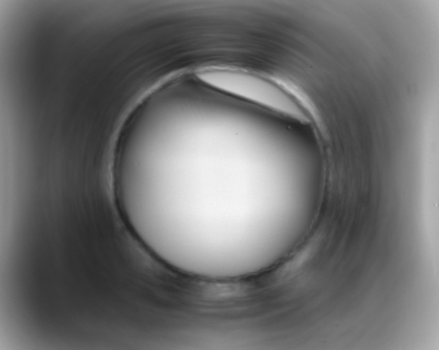 X0000088050941200706011339