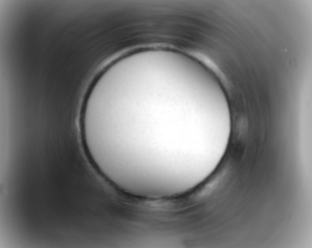 X0000088050943200706011340