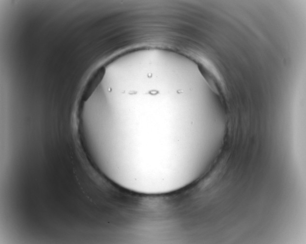 X0000088050944200706011340