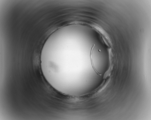 X0000088050945200706011340