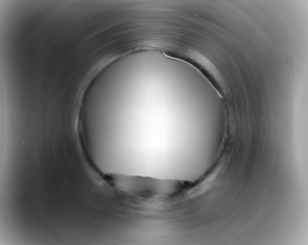 X0000088050946200706011340