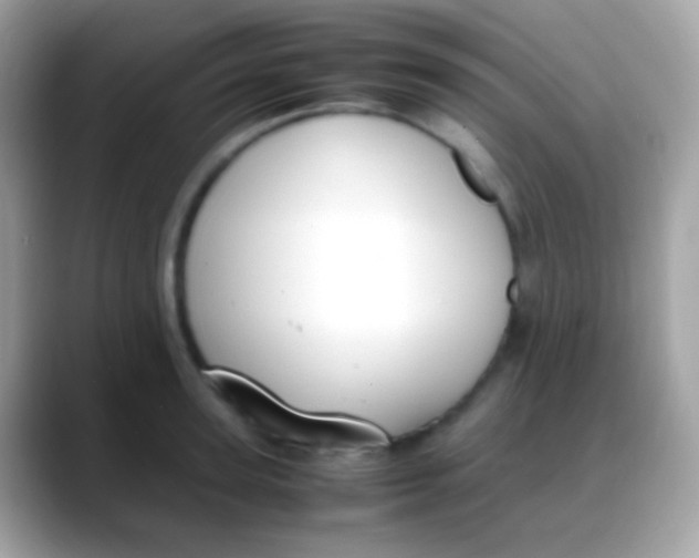 X0000088050947200706011340