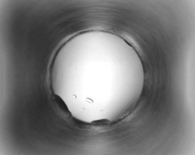 X0000088050948200706011340