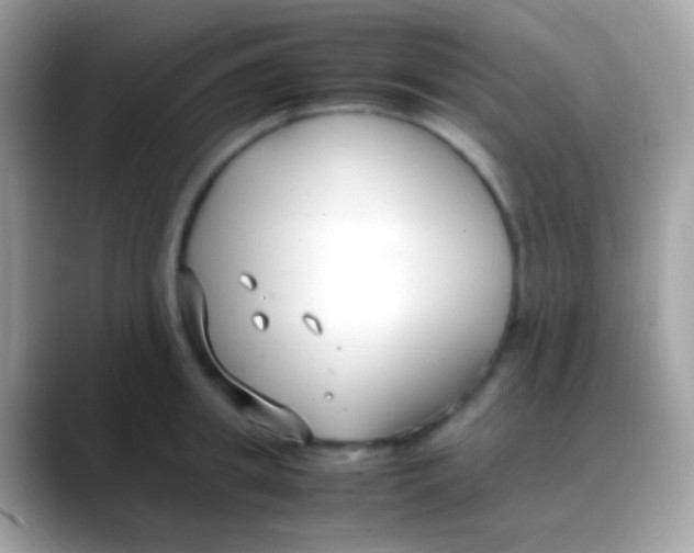 X0000088050949200706011340