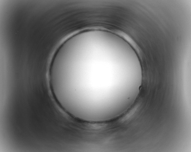 X0000088050951200706011340