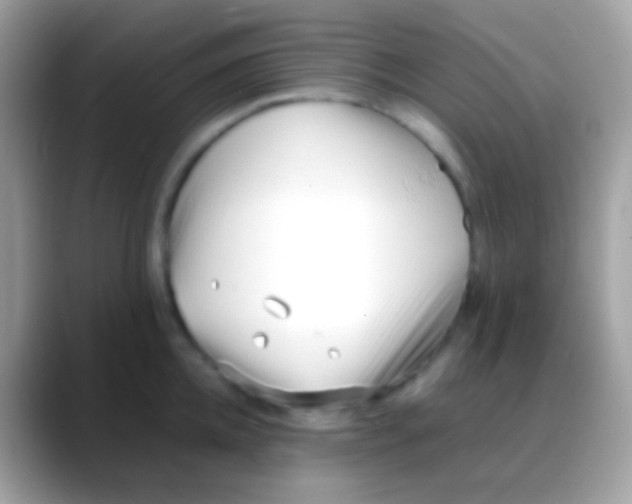 X0000088050952200706011340