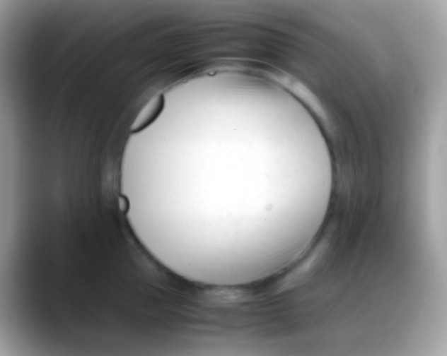 X0000088050953200706011340