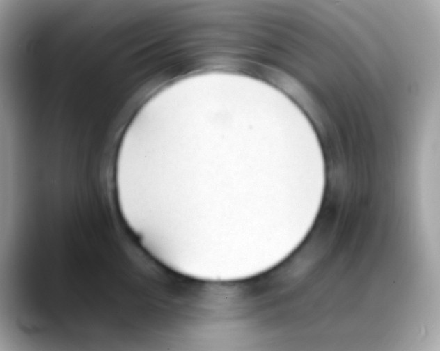 X0000088050954200706011340