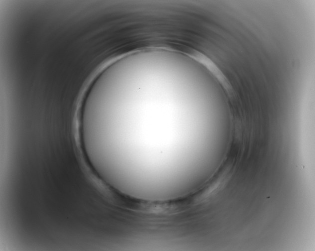 X0000088050955200706011340