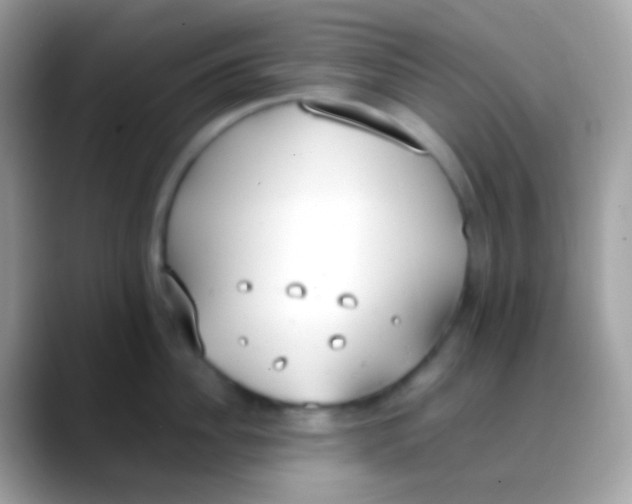 X0000088050956200706011340