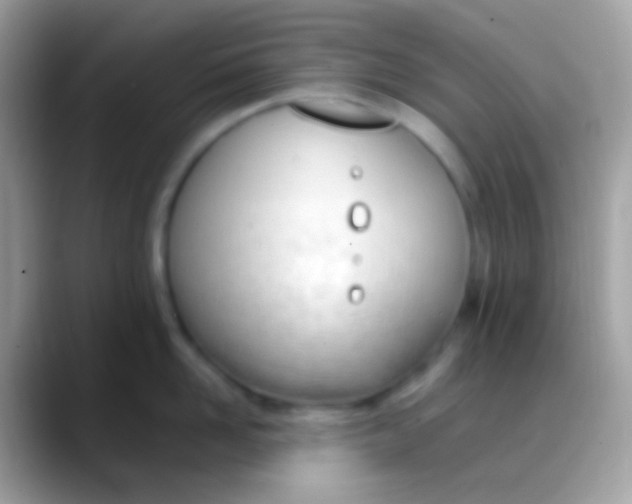 X0000088050958200706011340