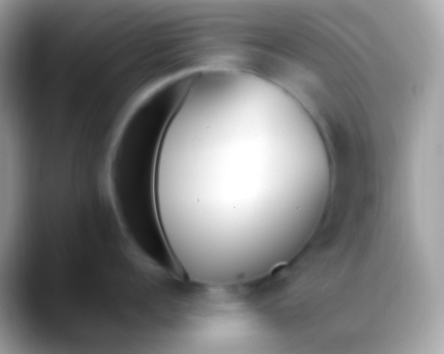 X0000088050960200706011340