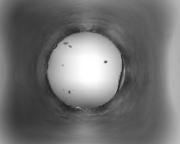 X0000088050961200706011339
